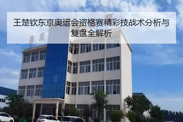 王楚钦东京奥运会资格赛精彩技战术分析与复盘全解析 | 6686 SPORTS